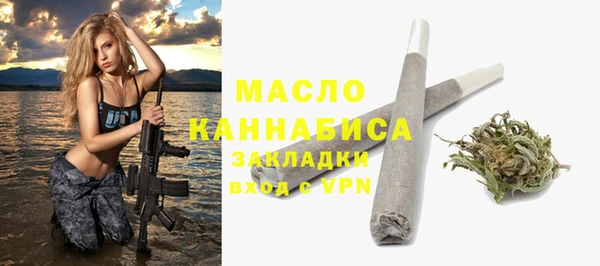 индика Аркадак