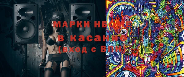 индика Аркадак