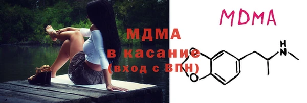 индика Аркадак