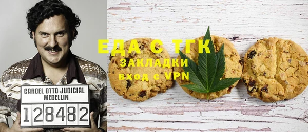 индика Аркадак
