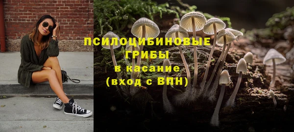 индика Аркадак