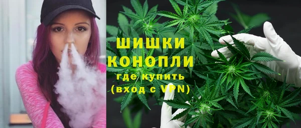эйфоретик Ладушкин